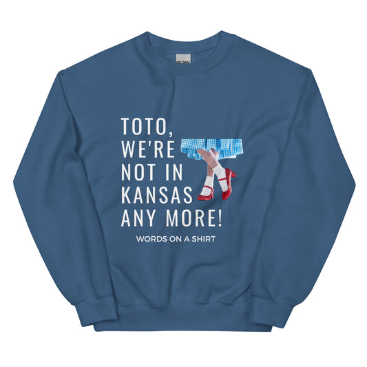 Cozy up in this durable and snug sweatshirt, perfect for chilly days. This pre-shrunk, traditional cut sweater features air-jet spun yarn for a cozy touch and less pilling. And with the iconic quote from The Wizard of Oz, "Toto, We're Not In Kansas Anymore," you'll be ready for any adventure!